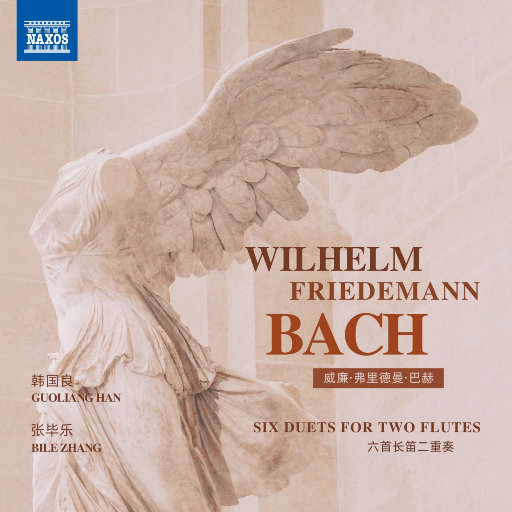 荒野乱斗r34的网站下载
